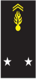 Insigne de général de brigade (exemple)