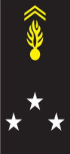 Insigne de Général de division